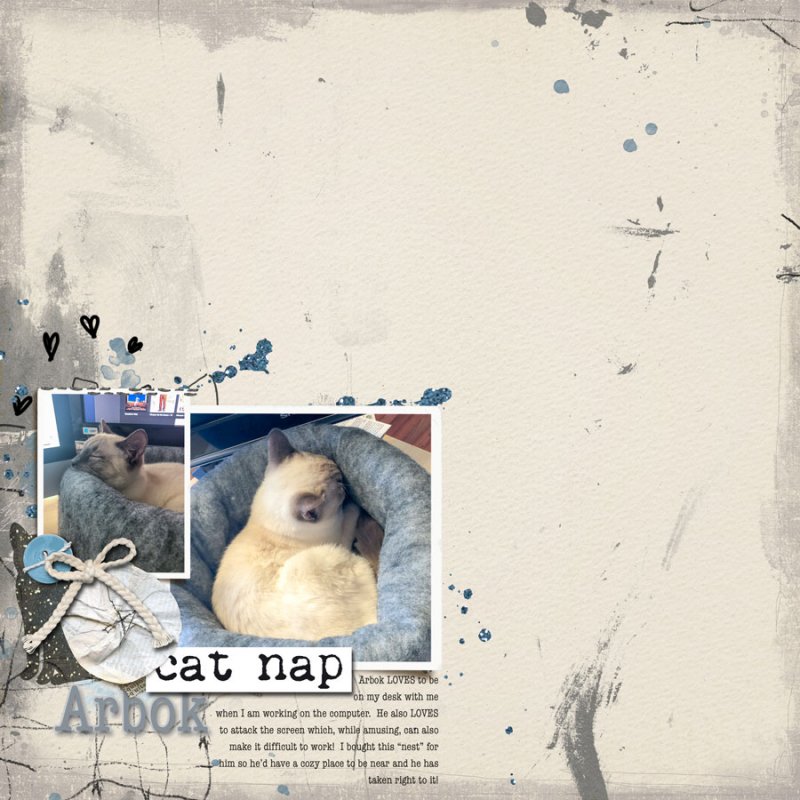March 2019 Template Challenge