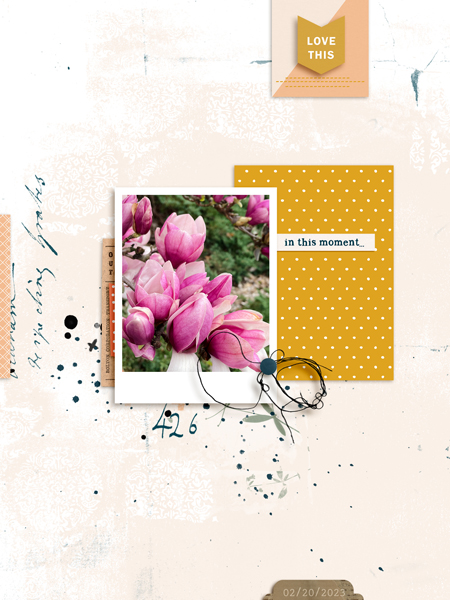March 2023 Template Challenge