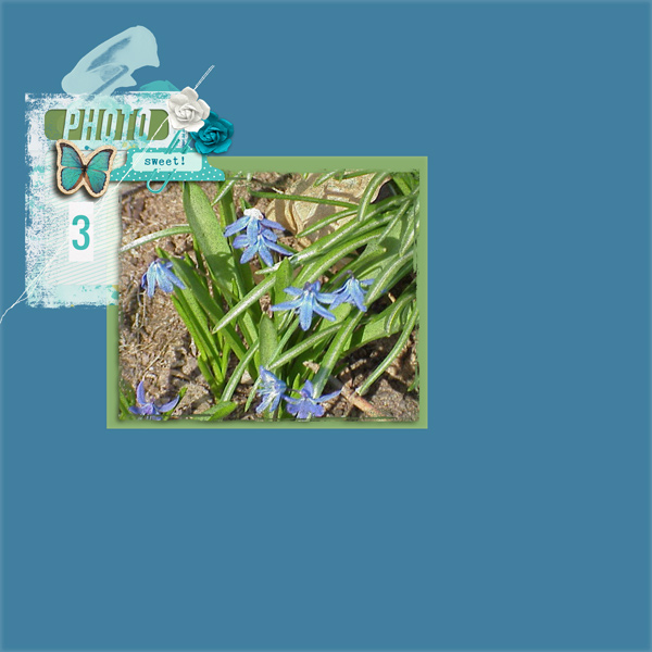 march bloom