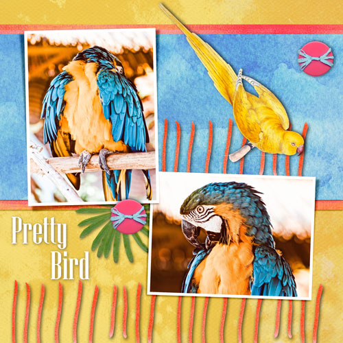 March FDD Challenge