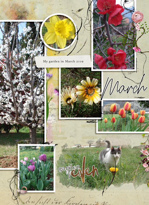 March in the Garden