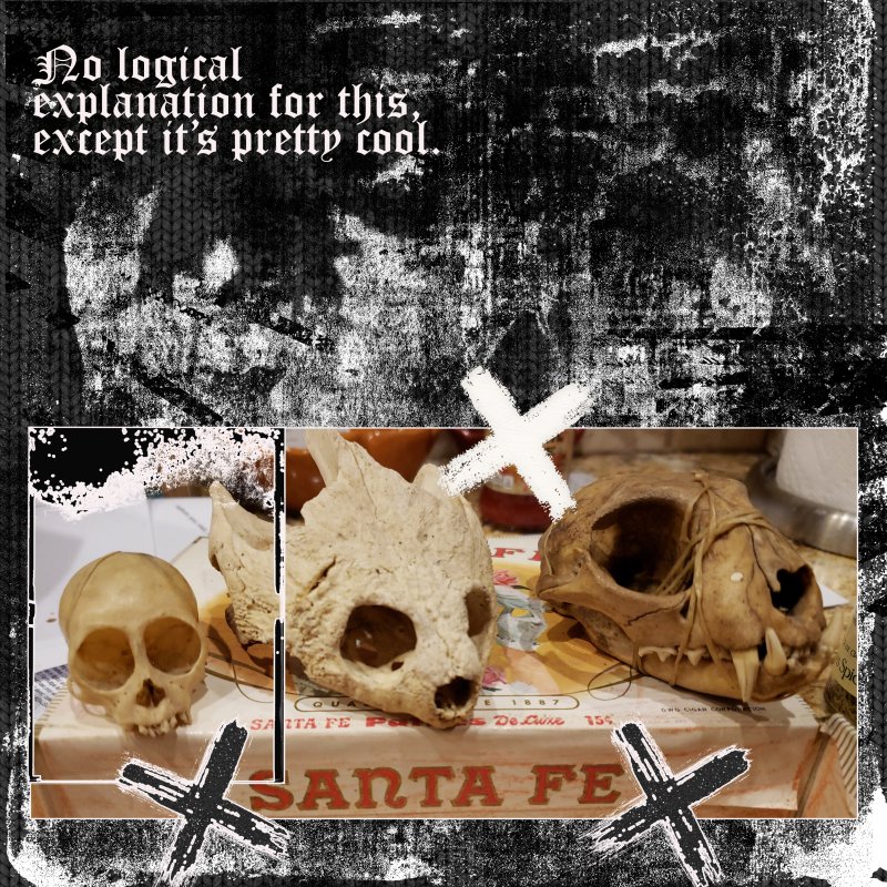 March Journaling Challenge Skeletons In My Closet