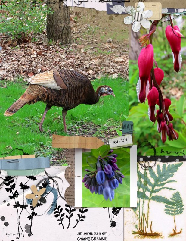 Marilyn_Rachel-Jefferies_2022-05_May_iNSD_0507_Pocket-Art-Assembles1_web