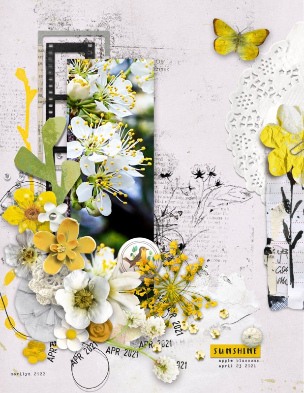 Marilyn_Rachel-Jefferies_2022-05_May_TLP-Challenge_Flowers_web