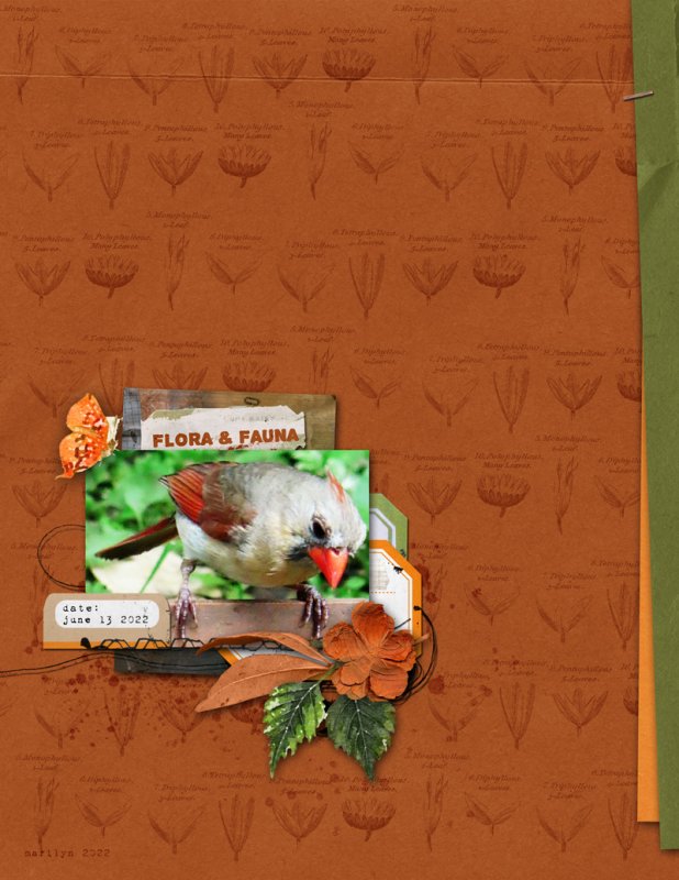 Marilyn_Rachel-Jefferies_2022-07_July_Challenge_TLP_Brushes_web