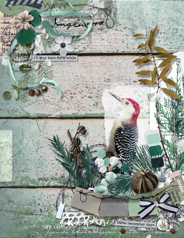 Marilyn_Rachel-Jefferies_2022-11_November_DYD_1111_Inglewood_Woodpecker_web