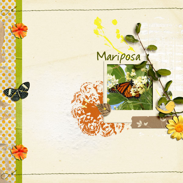 Mariposa - MOC January 14