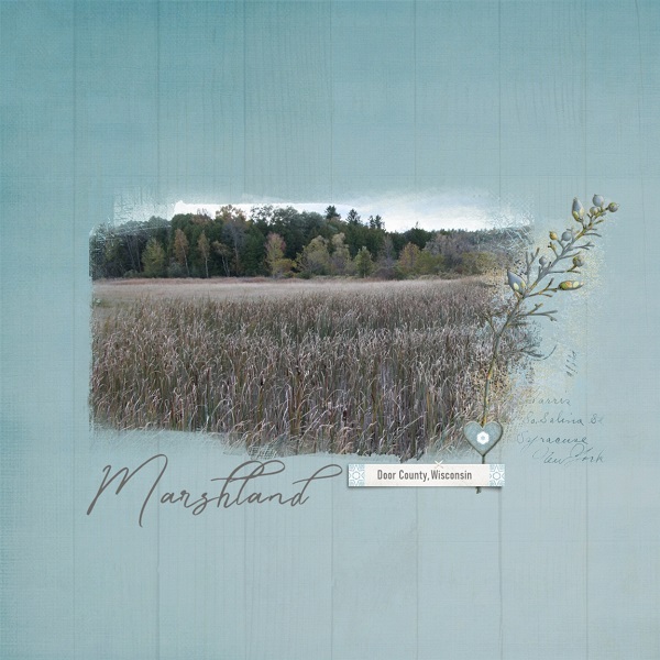 Marshland