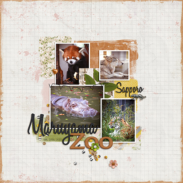Maruyama Zoo - Sapporo