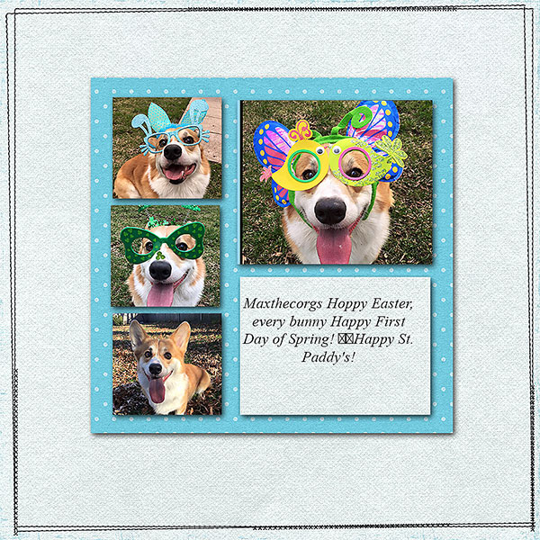 MaxthecorgWebs