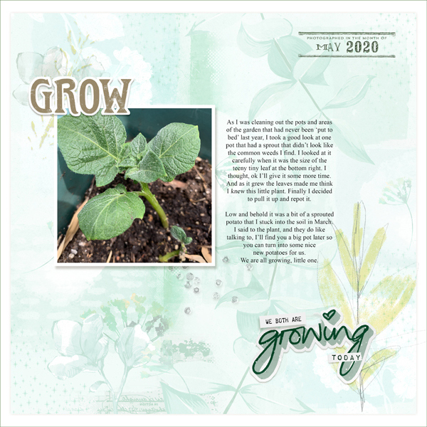 May-15-Photo_ Grow