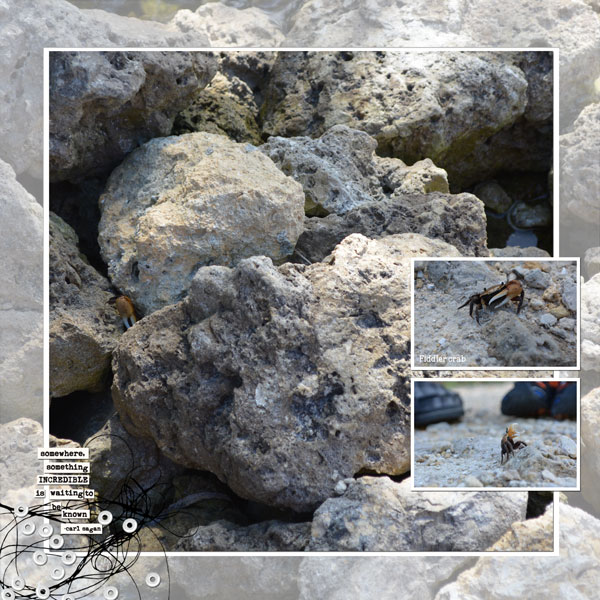 May 2018 Photography Challenge