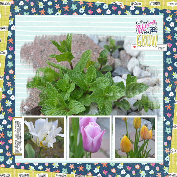 May 2019 Photo Ch