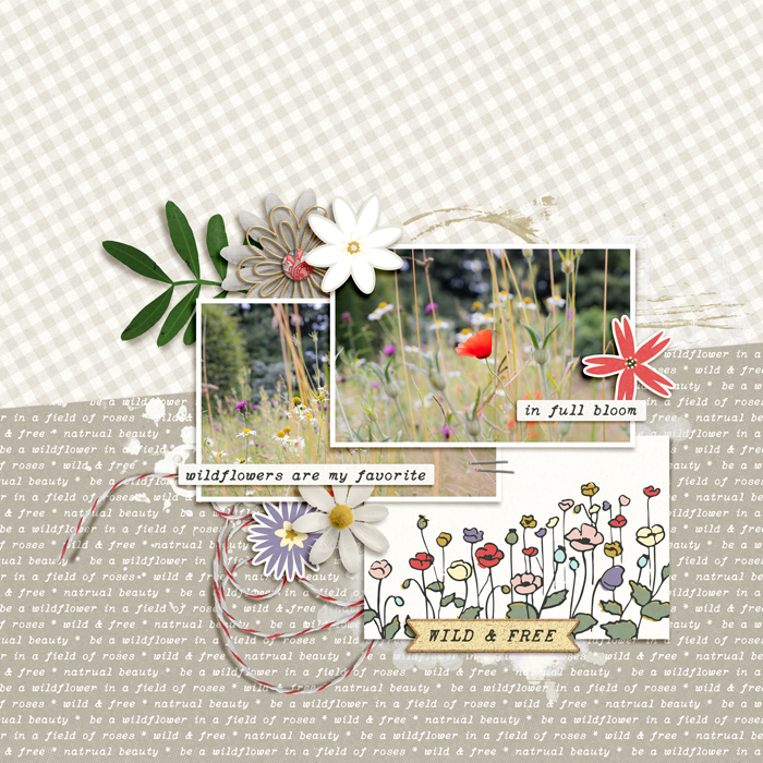 May 2025 Slow Scrap