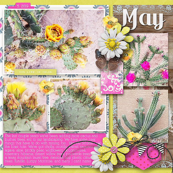 May-Blooms-right-page