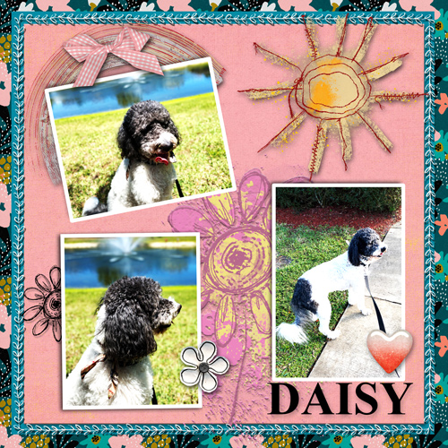 May Community Scrap With Dalis