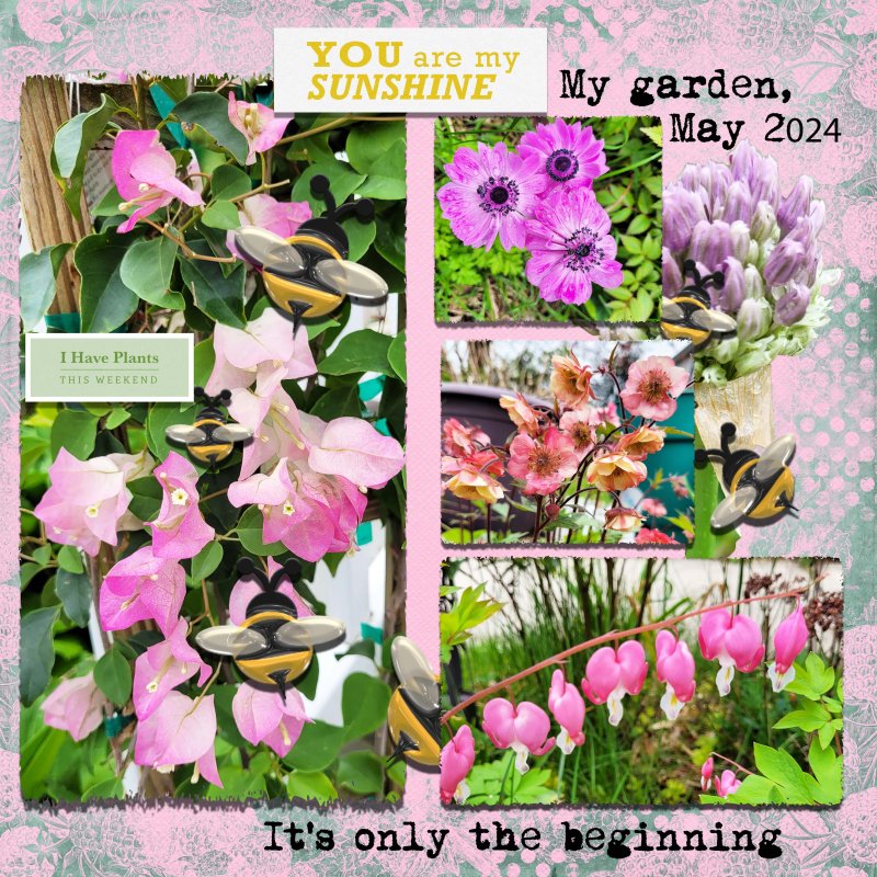 May Flowers Bring Happy Gardeners