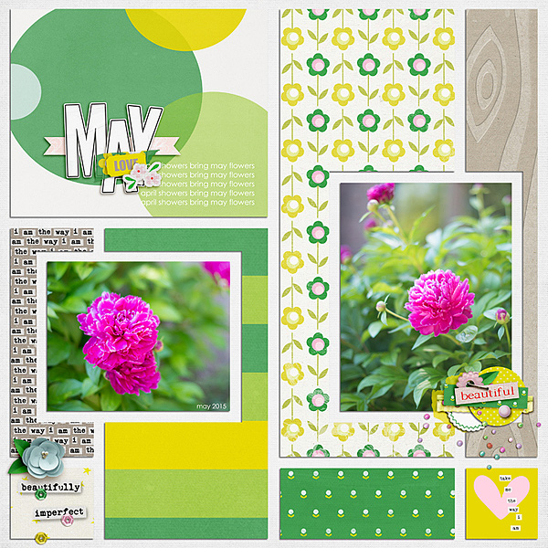 May Flowers