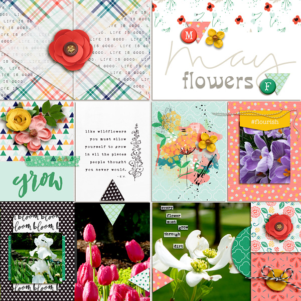 May Flowers