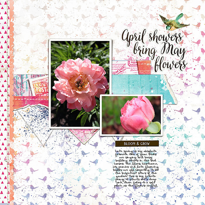May Flowers