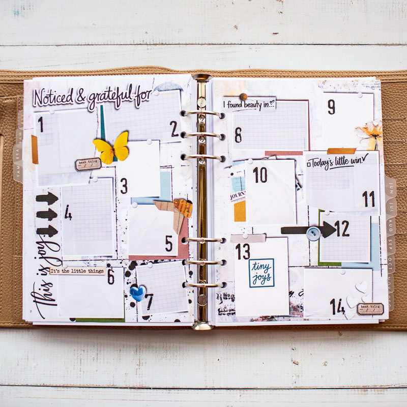 May Gratitude Journal (hybrid)