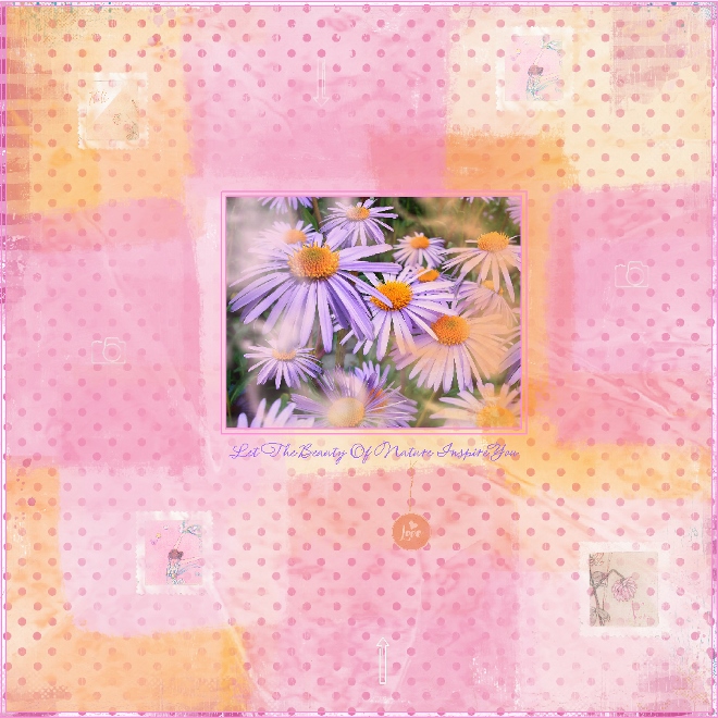 May-Inspiration Challenge-Nature-Asters