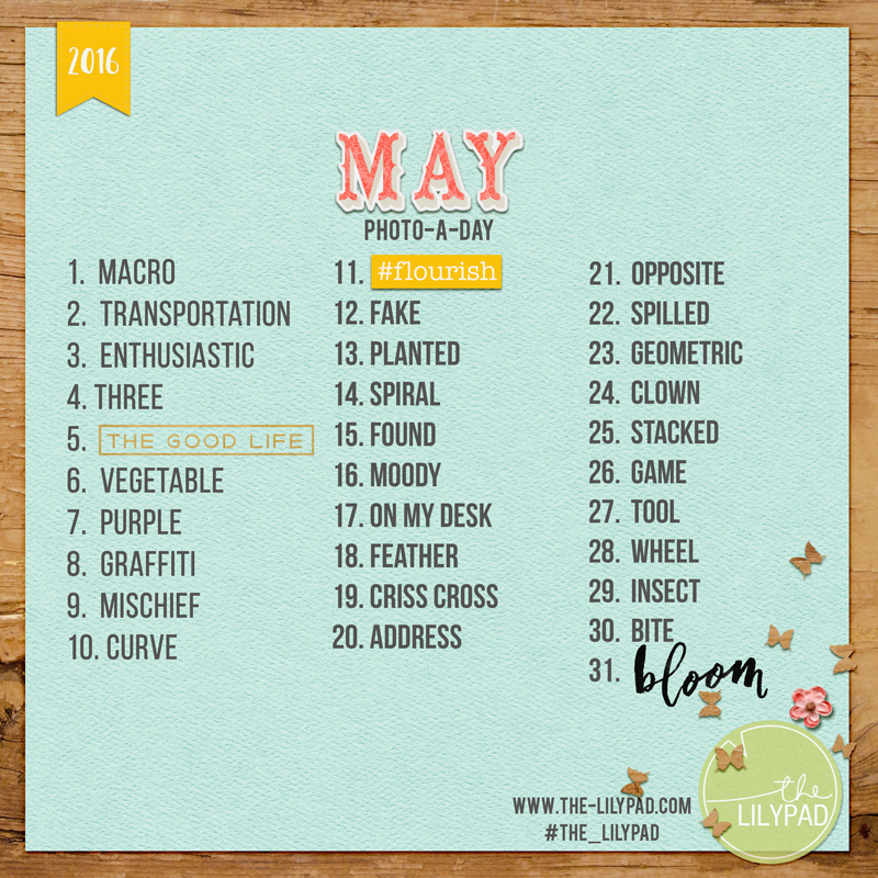 May Photo-a-Day
