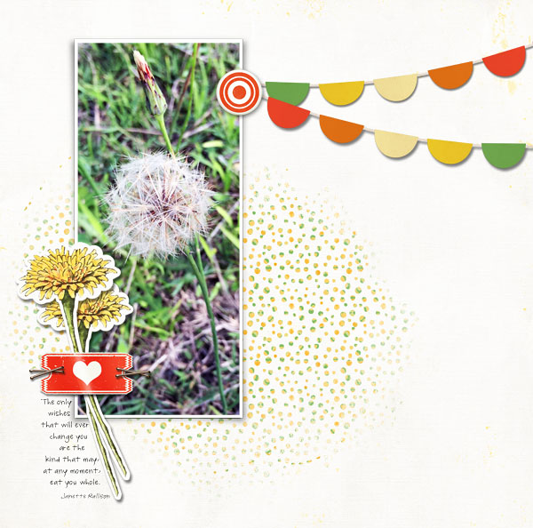 May Photography Challenge: Wishes