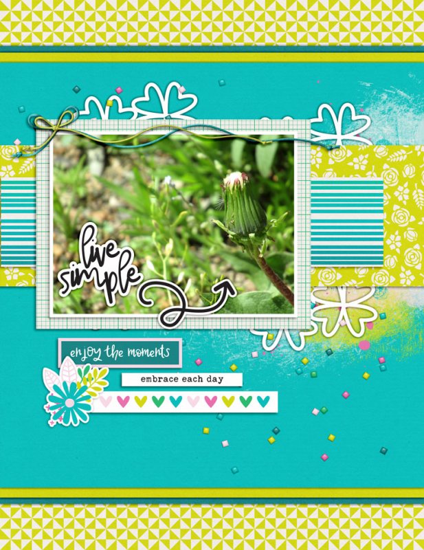 MAY PHOTOGRAPHY CHALLENGE