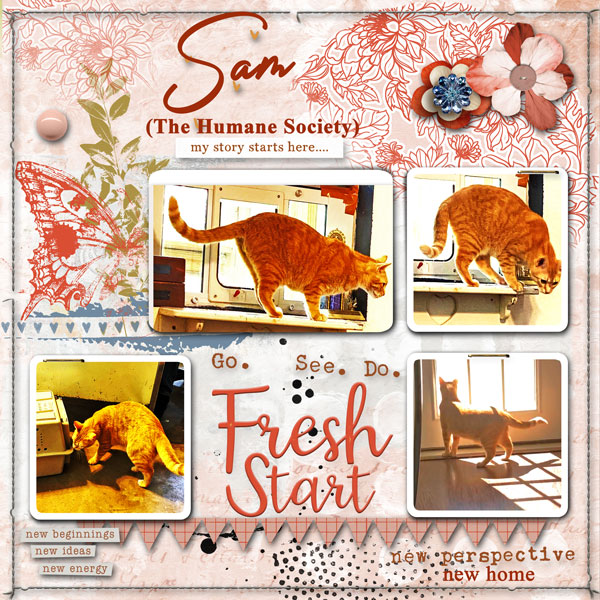 May Scraplift Challenge