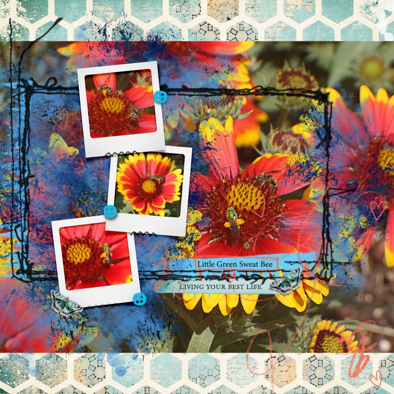 May Template Challenge Little Green Sweat Bee
