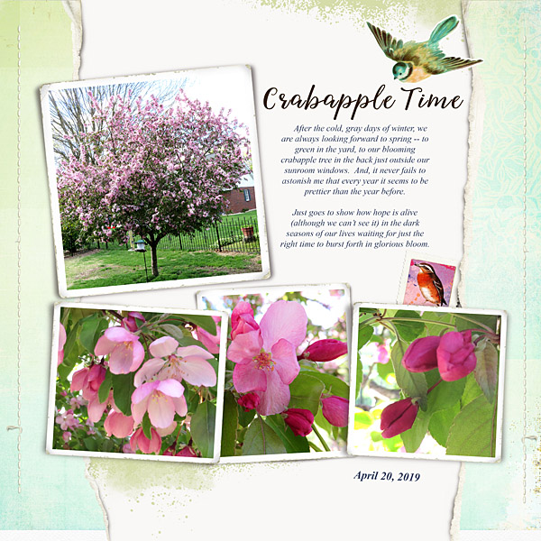 May2019_Photo Chall_web