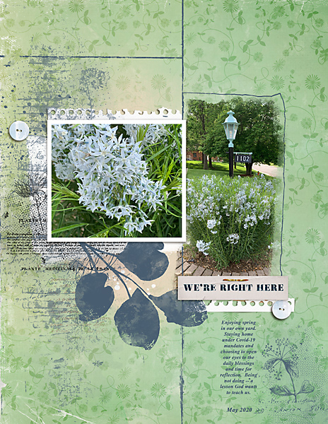 May27_Mellow_BotanicalBrushes_flowersgal_web