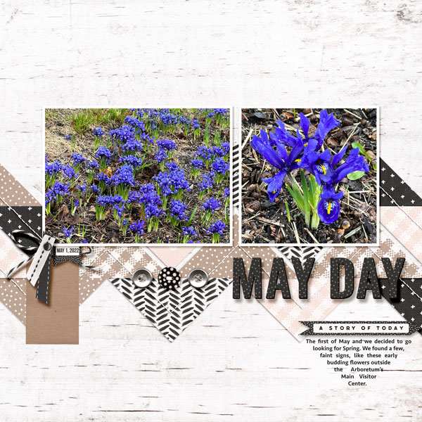 May_Day