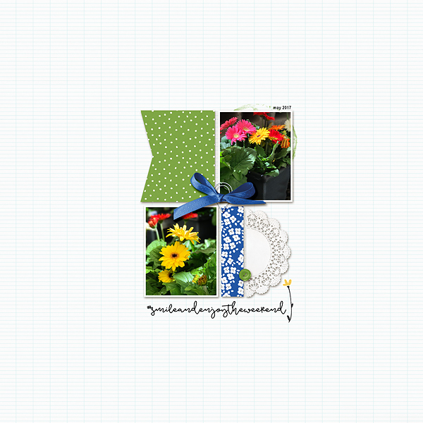 Mayflowers