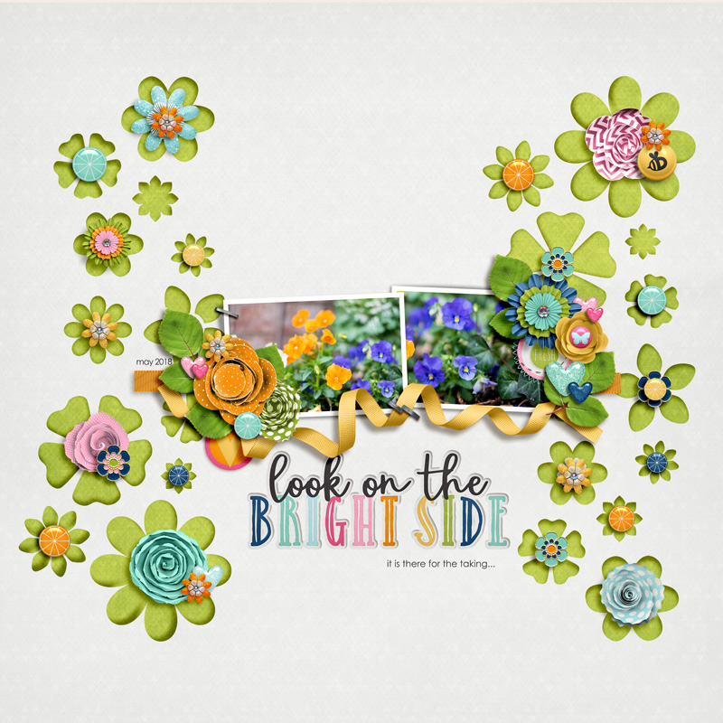 MayFlowers