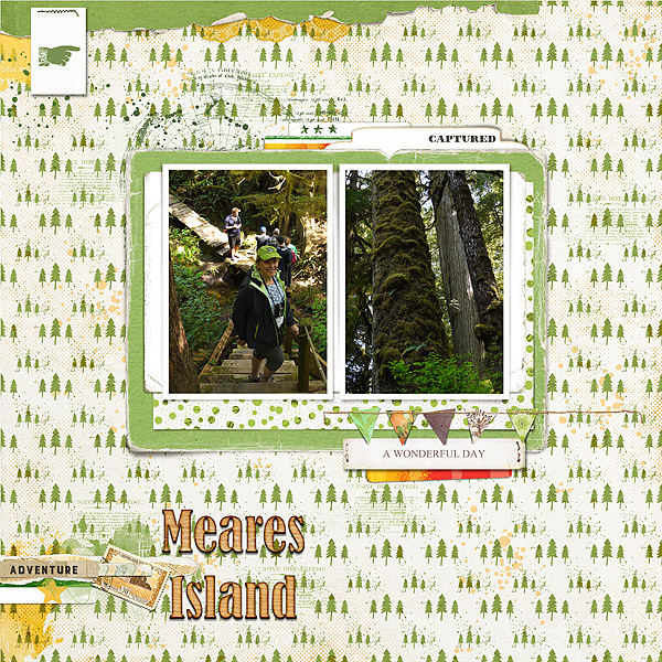 Meares Island