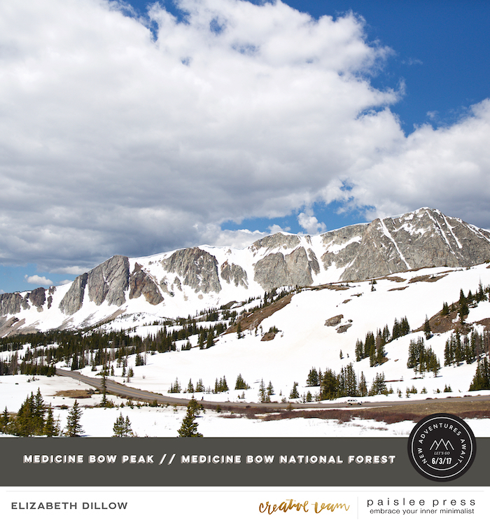 Medicine Bow (left side)