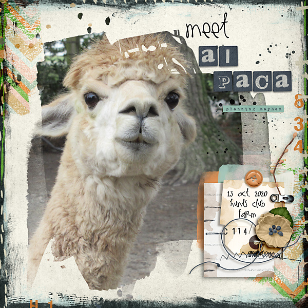 Meet Al
