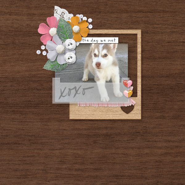 Meet Cute