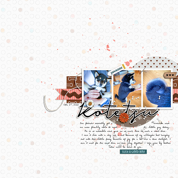 Meet Kotetsu