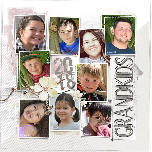 Meet the Grandkids2018