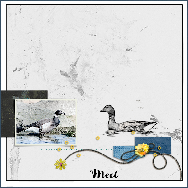 Meet