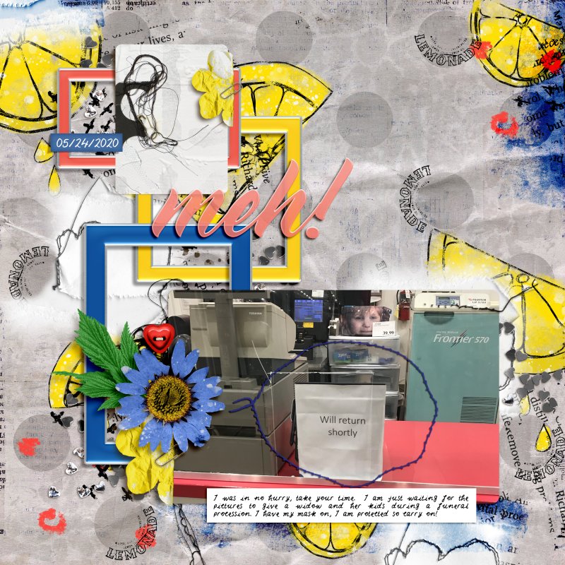 Meh - Monthly Muse Wk #3 - Designer Challenge Scrapping with Liz