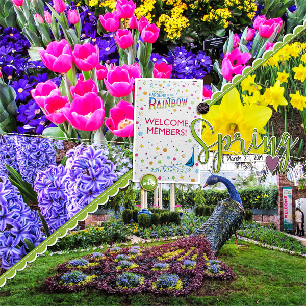 Members Night at Phipps Conservatory