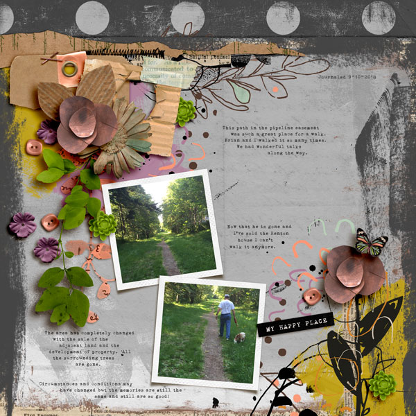 Memories Along a Path