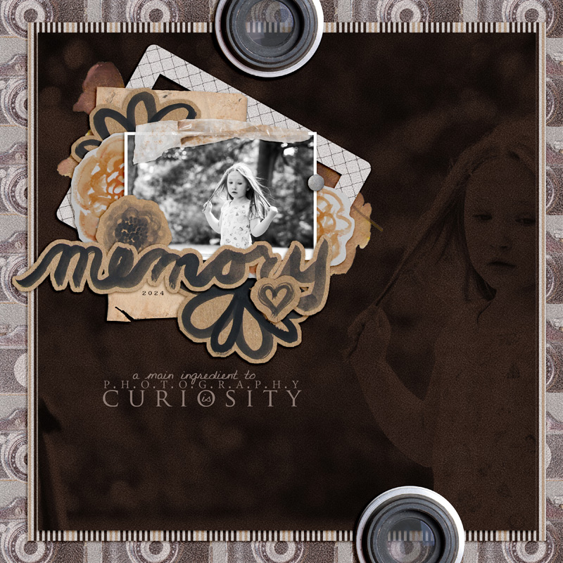 Memory