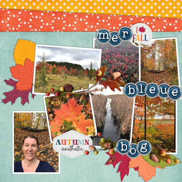 Mer Bleue Bog