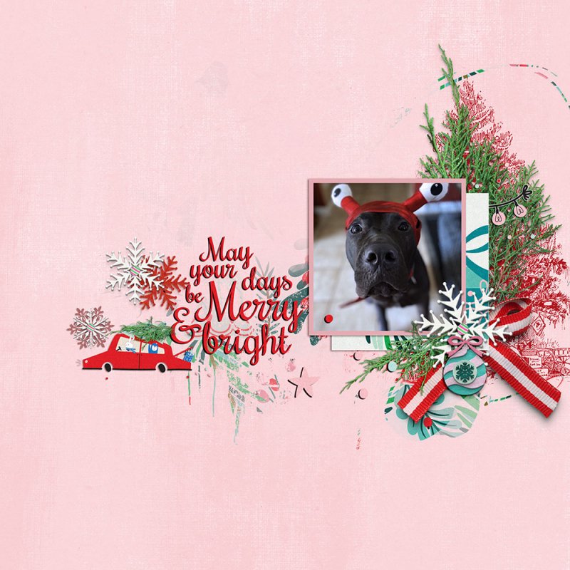 Merry & Bright