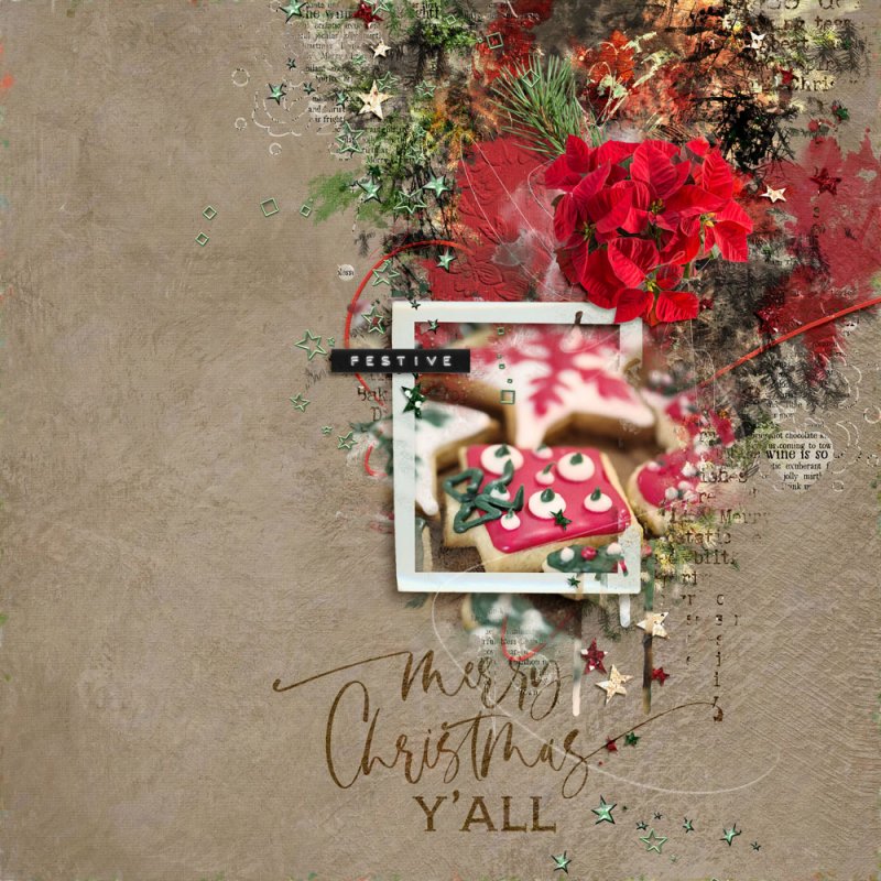 Merry Christmas y'all